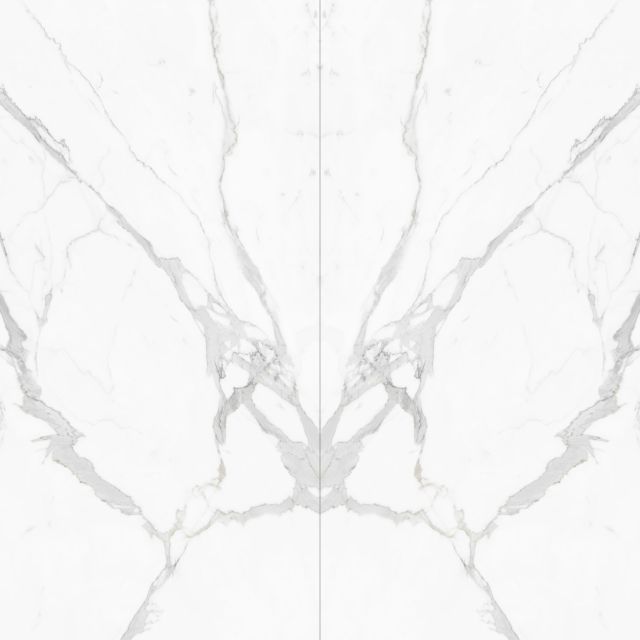 White Butterfly