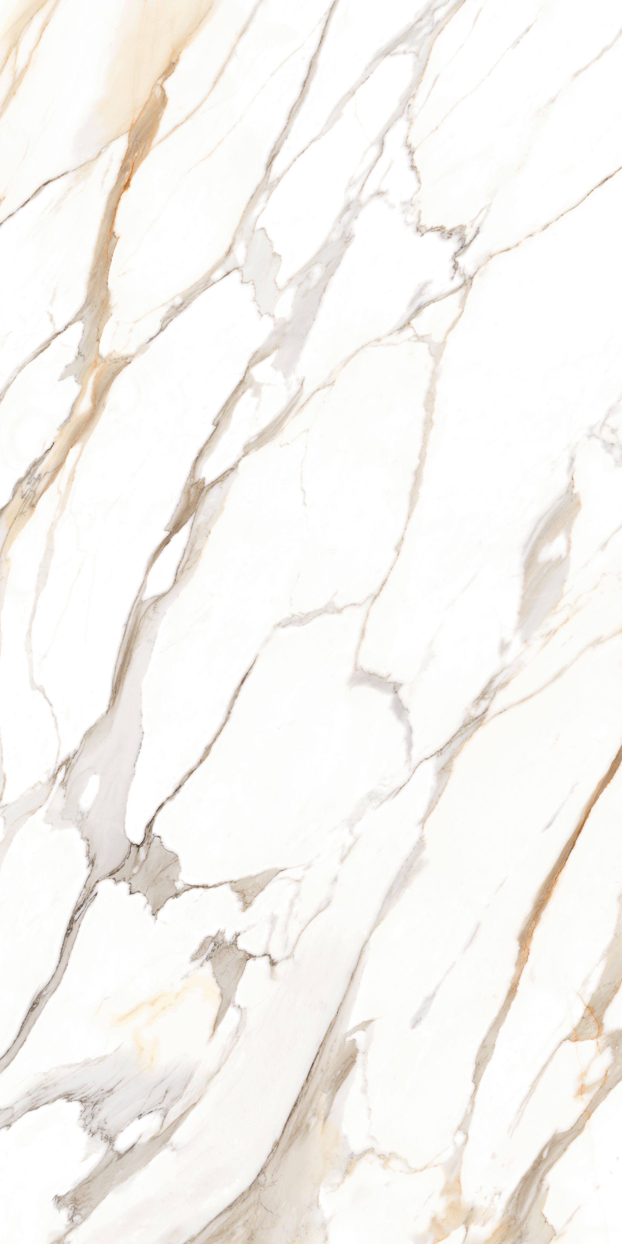 Premium Calacatta Gold