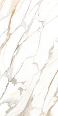 Premium Calacatta Gold