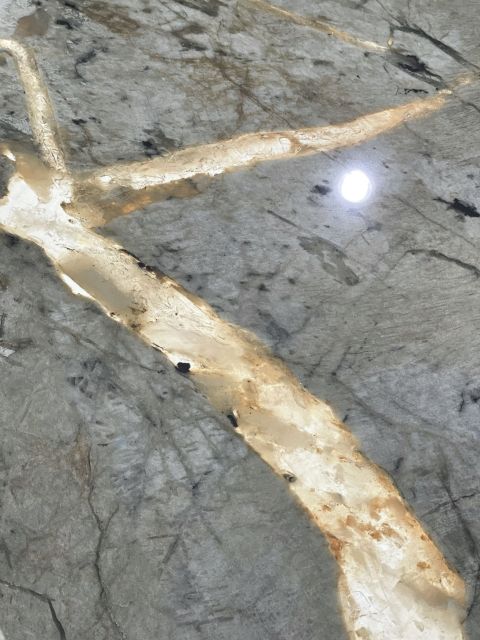 Translucent Pandora