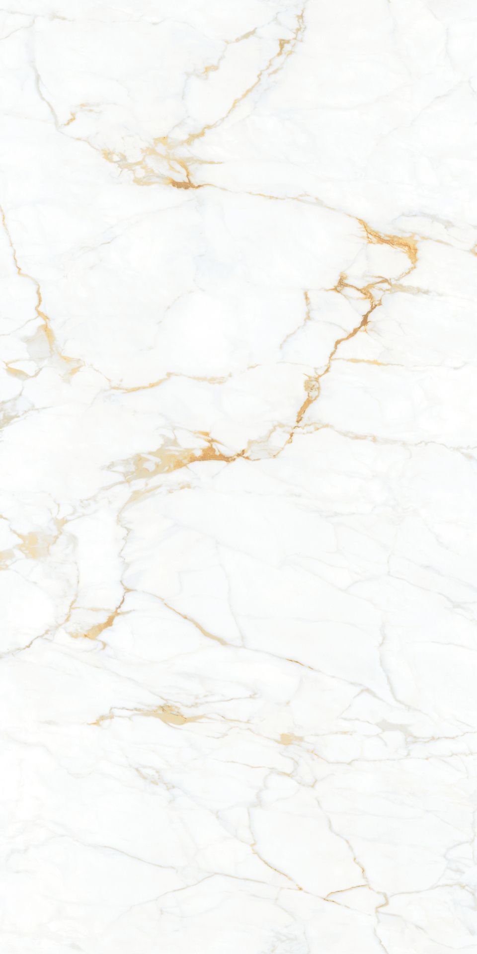 Italian Golden Flower White