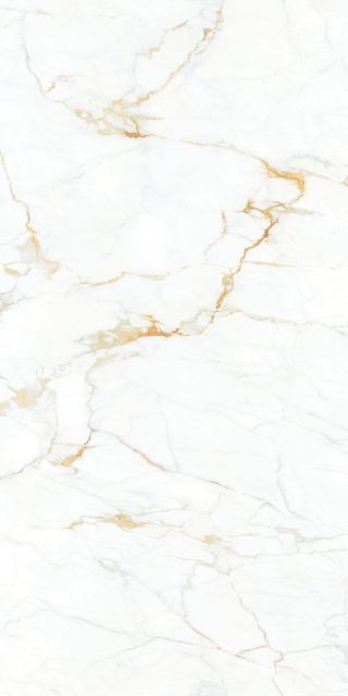 Italian Golden Flower White