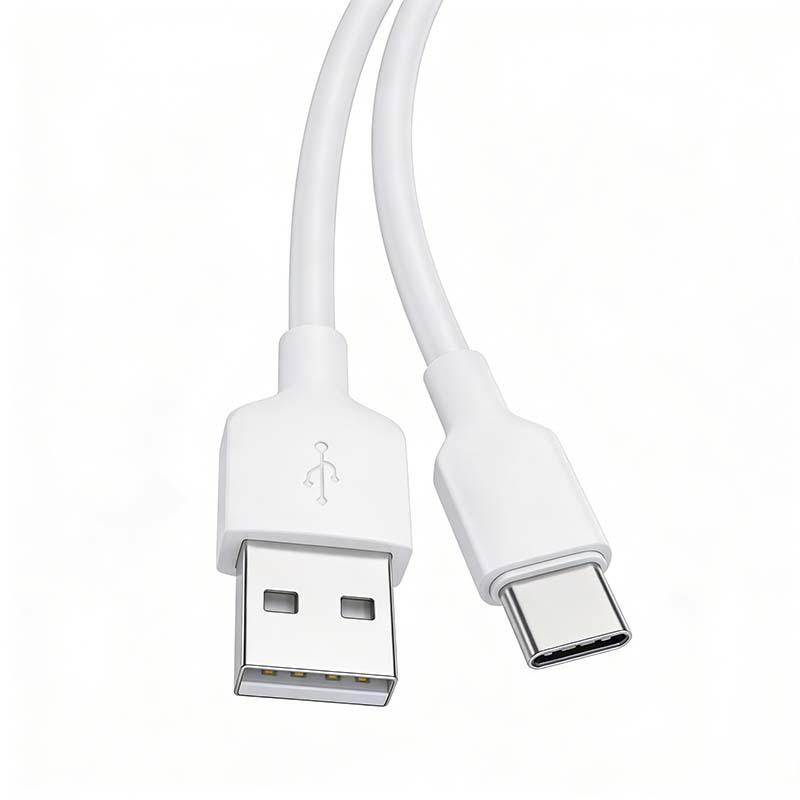 F6002 Câble de charge TPE 2A