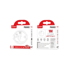 F6002 Câble de charge TPE 2A