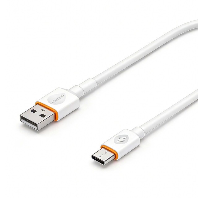 F6004  Câble de charge TPE 3A