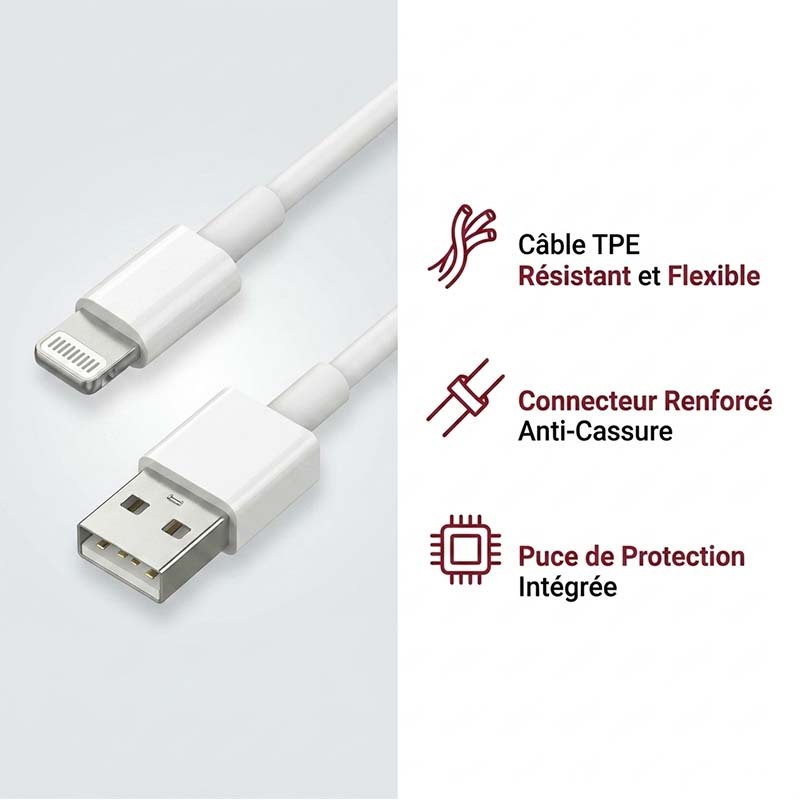 Câble USB Lightning 1M - d-power F6000 - Charge Rapide et Synchronisation de Données - Compatible avec iPhone 14/13/12/11/XS/XR/8/7/6S, iPad, iPod - Protection Contre les Surcharges - Blanc