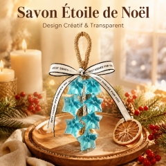 Guirlande de Savon Suspendu en Étoiles Bleues Transparentes, Savon de Bain Parfumé Artisanal Forme Étoile de Noël avec Boucle en Rotin, Savon Décoratif Séchage Rapide Anti-Fonte, Cadeau Unique de Noël pour Déco Salle de Bain, Anniversaire et Pendaison