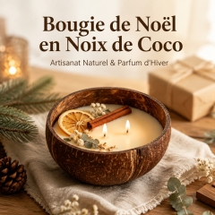 Bougie aromathérapie artisanale à double mèche en coton, coque de noix de coco cire de soja naturelle décorée orange séchée eucalyptus et fleurs, combustion propre sans fumée, parfum d’hiver cadeau décoration Noël