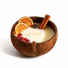 Bougie aromathérapie artisanale à deux mèches en coque de coco cire de soja naturelle, décorée d’oranges séchées et canneberges, sans fumée ni toxique, cadeau décoration de Noël