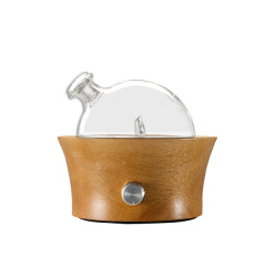 Amazon Aroma Diffuser Support OEM/ODM customization
