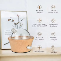 Amazon Aroma Diffuser Support OEM/ODM customization