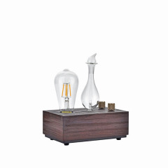 Aroma Diffuser Bluetooth Speaker ODM and OEM services