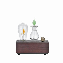 Aroma Mist Diffuser Services