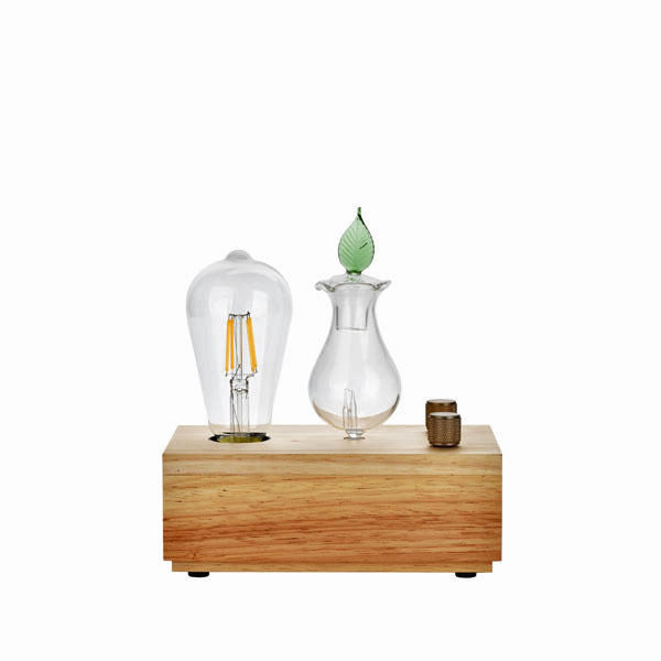 Aroma Mist Diffuser Services