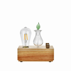 Aroma Mist Diffuser Services
