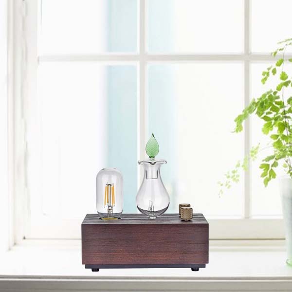 Aroma Mist Diffuser Services