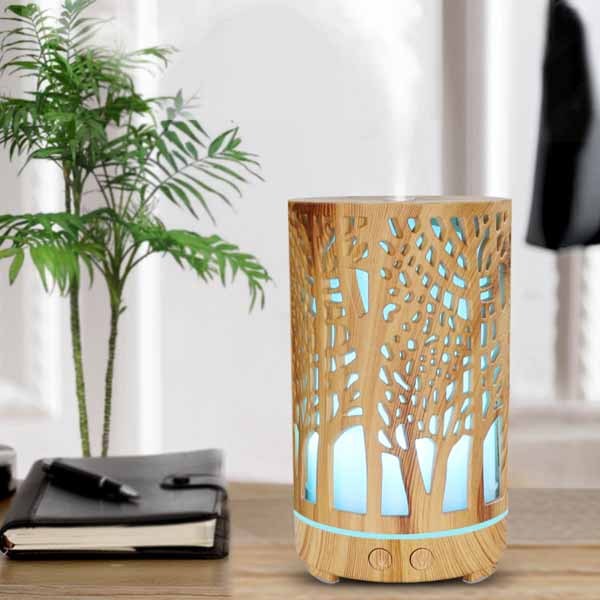 Humidifier Diffuser Support OEM/ODM Customization
