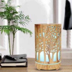 Humidifier Diffuser Support OEM/ODM Customization
