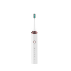 Rotating Electric Toothbrush China Manufacturer