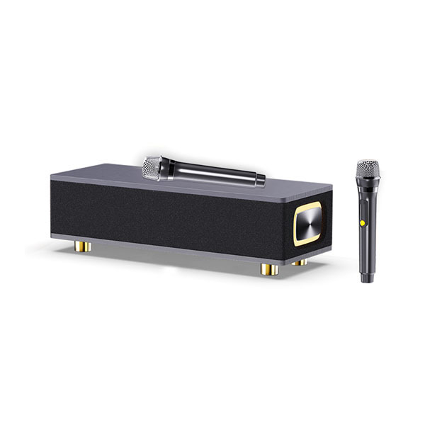 Ai TV family karaoke Portable Wireless Bluetooth Speaker Microphone