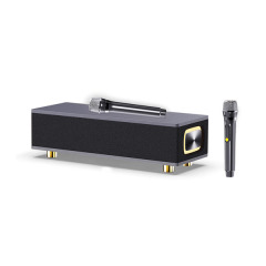 Ai TV family karaoke Portable Wireless Bluetooth Speaker Microphone