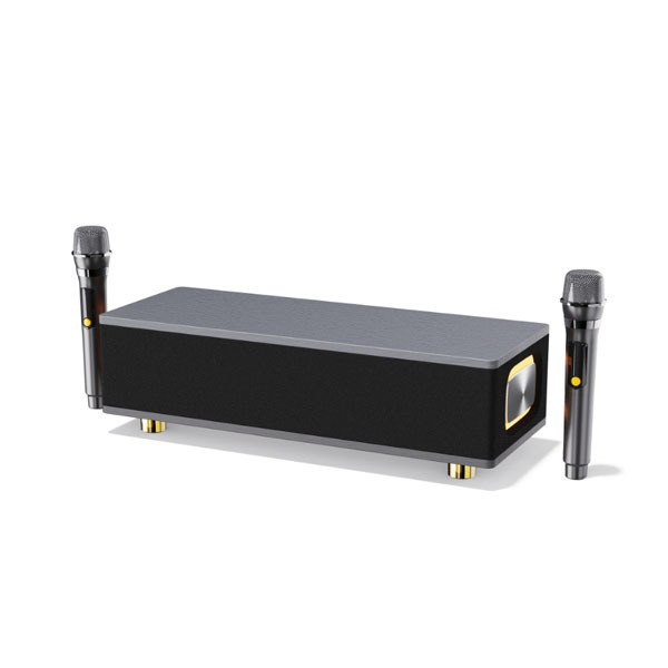 Ai TV family karaoke Portable Wireless Bluetooth Speaker Microphone