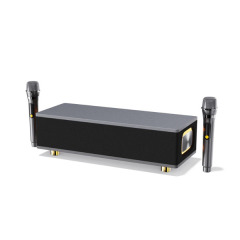 Ai TV family karaoke Portable Wireless Bluetooth Speaker Microphone