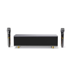 Ai TV family karaoke Portable Wireless Bluetooth Speaker Microphone