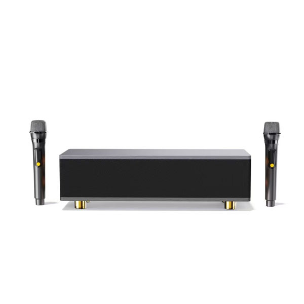 Ai TV family karaoke Portable Wireless Bluetooth Speaker Microphone