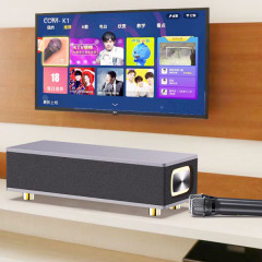 Ai TV family karaoke Portable Wireless Bluetooth Speaker Microphone
