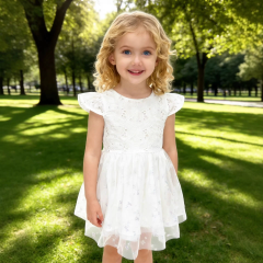 Girls cap sleeve silver butterfly printed mesh solid lace fabric dress