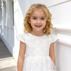 Girls cap sleeve silver butterfly printed mesh solid lace fabric dress