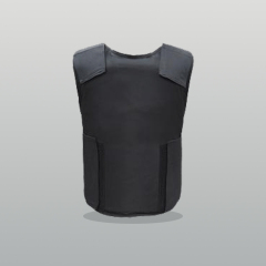 Concealable Soft Body Armor