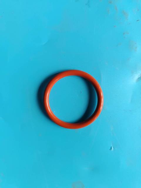 Fuel Injector Bushing Seal