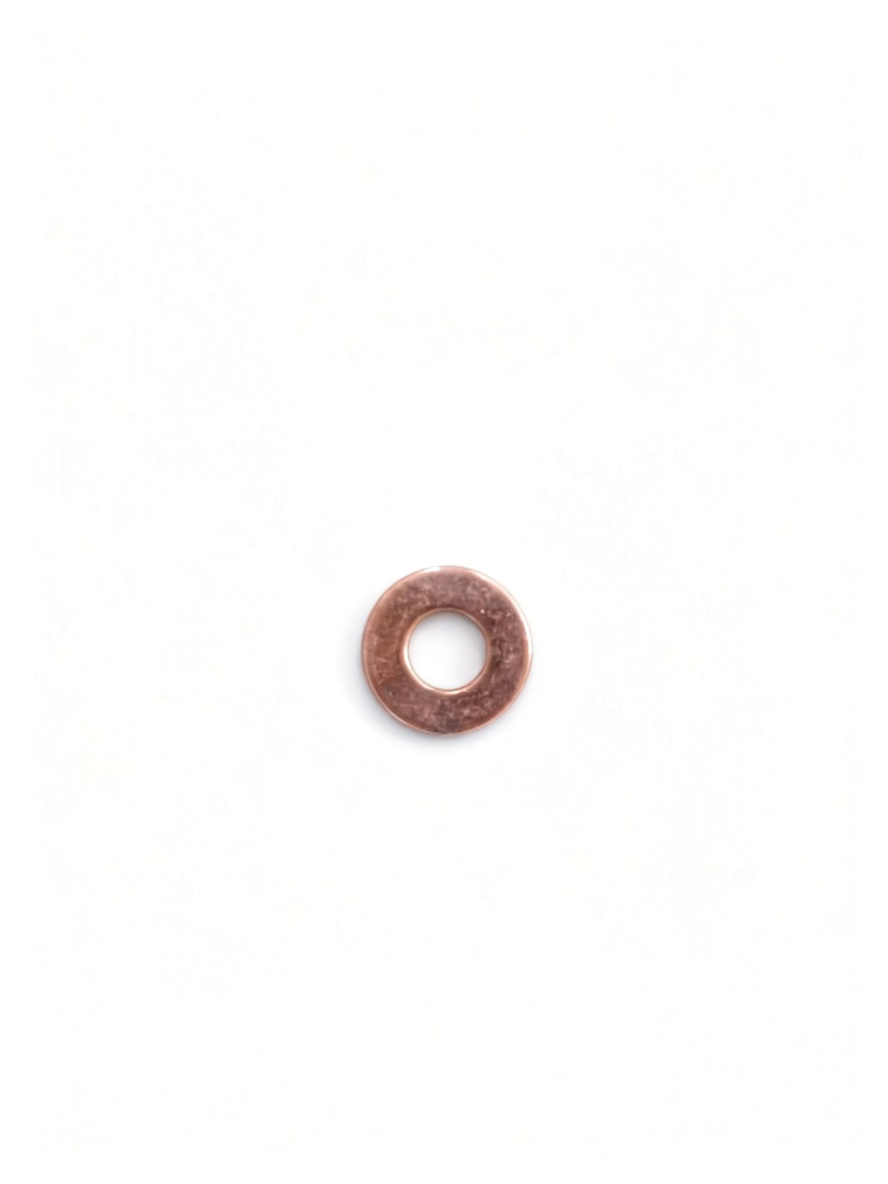 Fuel Injector Gasket