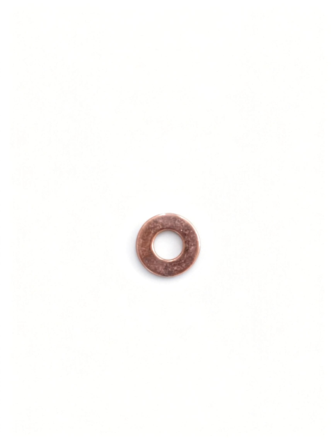 Fuel Injector Gasket