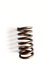 valve spring