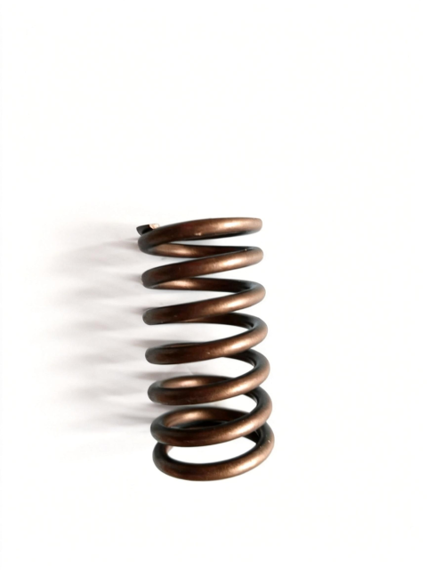 valve spring