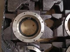 Balance shaft housing