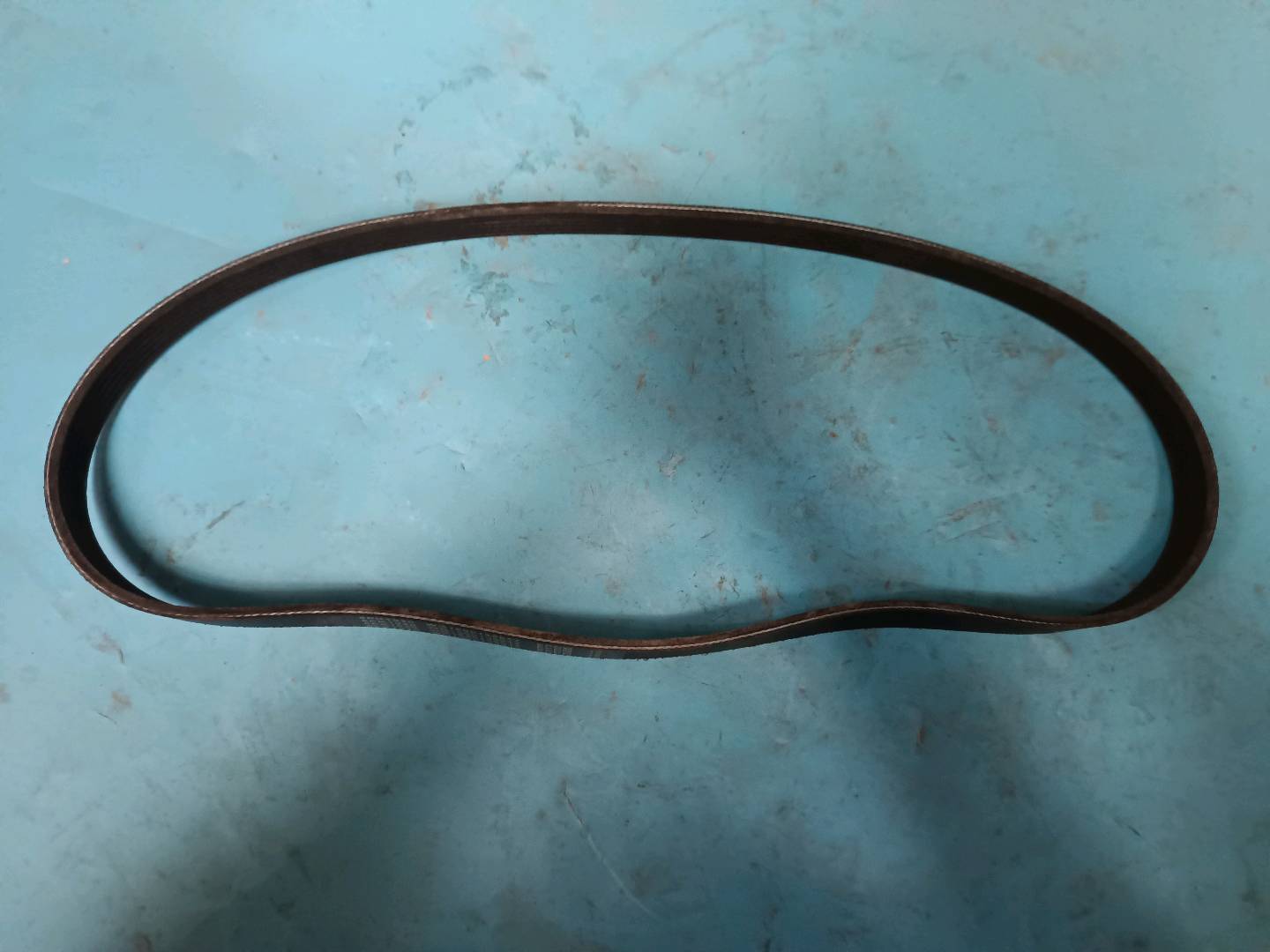 ribbed belt
