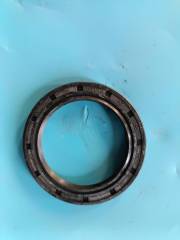oil seal