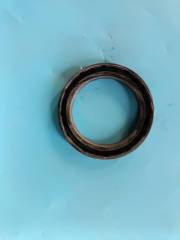 oil seal