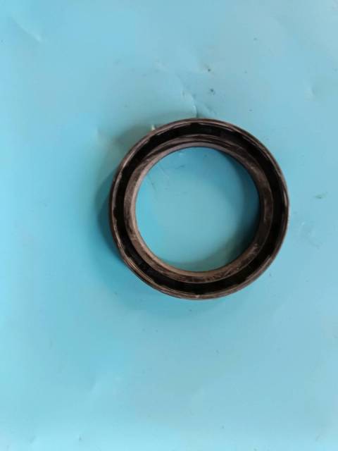 oil seal