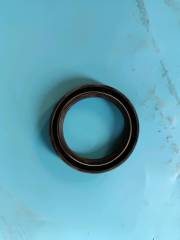 oil seal
