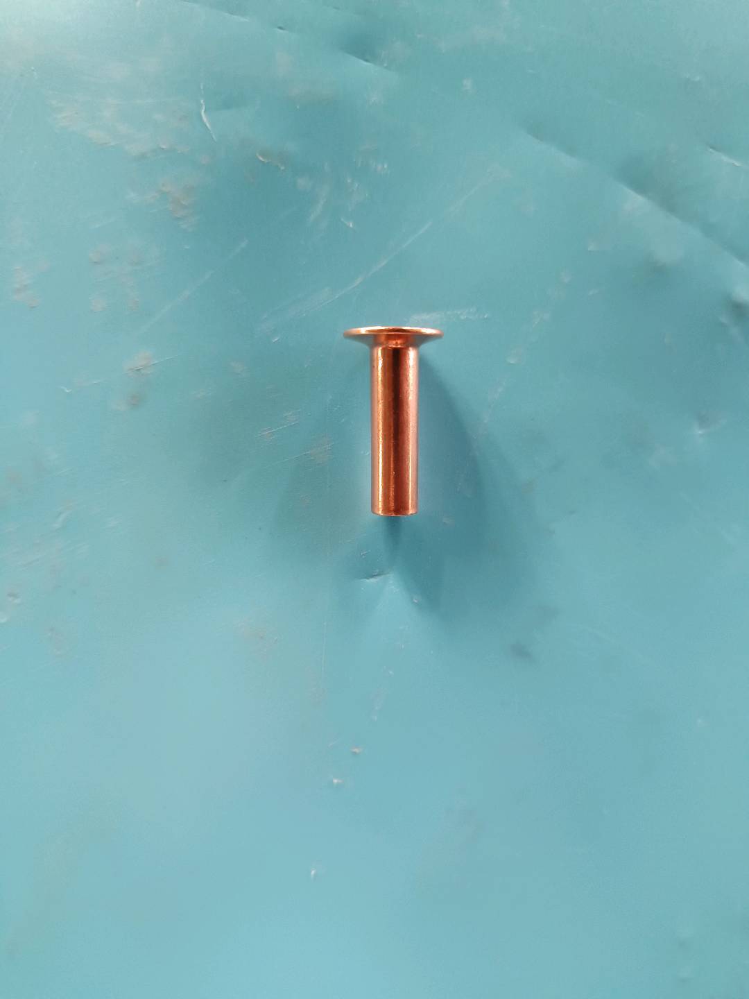 Brake pad rivets