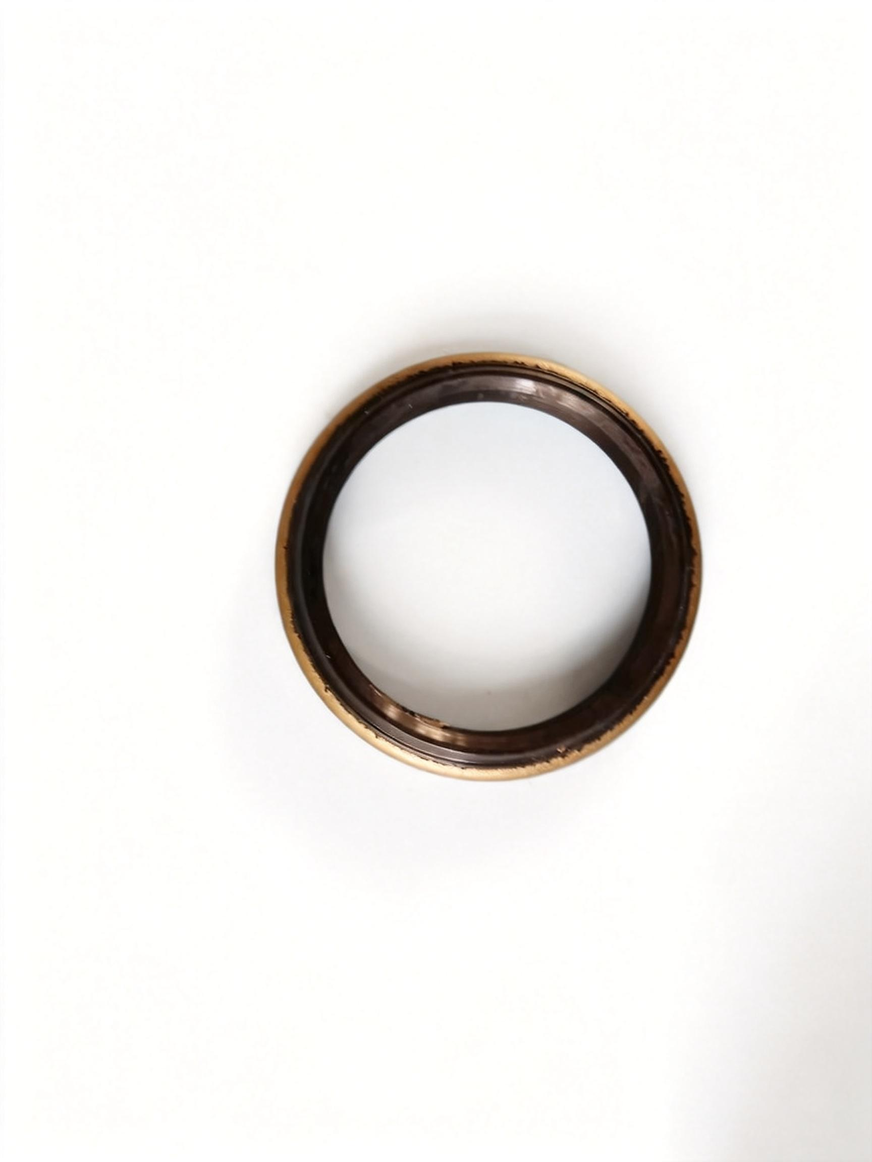 oil seal