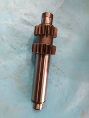 Secondary shaft (left) rotor pump