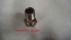 hollow bolt