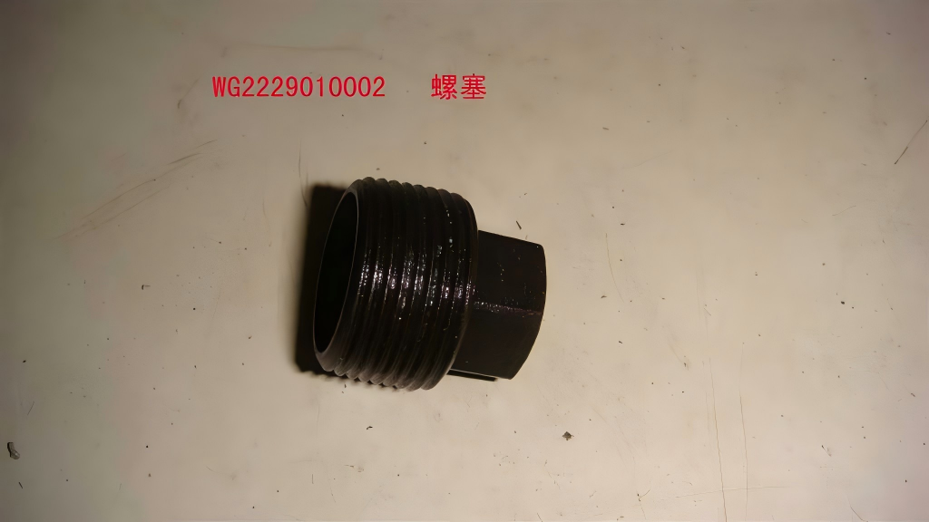 plug screw