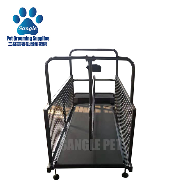 Treadmill Pelari Anjing Dengan Anjing Berganda